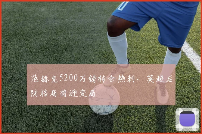 范赫克5200万镑转会热刺,英超后防格局将迎变局